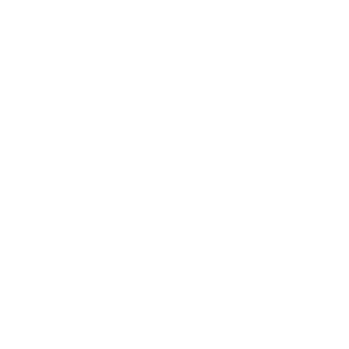Braidspider